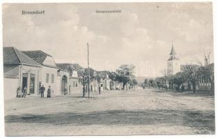 Botfalu, Brenndorf, Bod (Brassó, Kronstadt, Brasov); Strassenansicht, Nik. Joanidi. Verlag Josef Briegel / utcakép, üzlet / street view, shop (felületi kopás / worn surface)