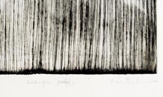 Nagy Gábor György (1966-): Mindenkire süt... IV., 2004. Hidegtű, papír, jelzett, próbanyomat 2, 22×2...