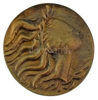 Borsos Miklós (1906-1990) DN "Sellőábrázolás / Szegedi Nyári Tárlat" kétoldalas, öntött bronz emlékérem díszdobozban (63mm) T:AU