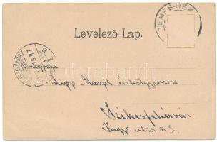 1900 Temesrékas, Temes-Rékás, Recas; Téglagyár, Takarékpénztár, Fő tér. Szecessziós-virágos keret / ...