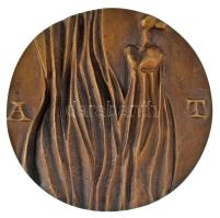 Asszonyi Tamás (1942-) DN "Miskolci Téli Tárlat" kétoldalas, öntött bronz emlékérem díszdobozban (74mm) T:AU