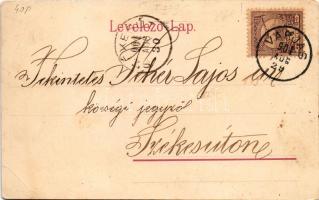 1901 Varjas, Varias; Fő tér, templom. Elszner F. Gyula kiadása / main square, church (EB)