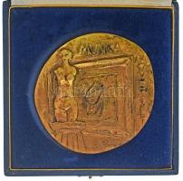 DN "Munka Művészet / Salgótarjáni Tavaszi Tárlat" kétoldalas, öntött bronz emlékplakett nem saját díszdobozban (~104-111mm) T:AU