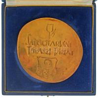 DN "Munka Művészet / Salgótarjáni Tavaszi Tárlat" kétoldalas, öntött bronz emlékplakett ne...