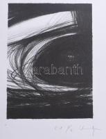 Visnyei Ilona (1959-): Örvény (cím nélkül). Litográfia, papír, jelzett, művészpéldány E.A. 4/6. számozással. 20x15 cm