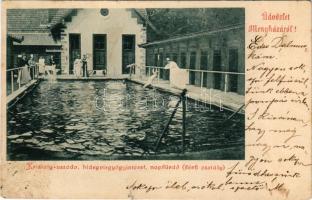 1901 Menyháza, Monyásza, Moneasa; Kristály uszoda, hidegvízgyógyintézet és napfürdő (férfi osztály), fodrász terem / spa, swimming pool, sunbathing, hairdresser (fl)