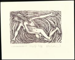 Kő Boldizsár (1969-): Fényrepörgők A, 2002. Litográfia, papír, jelzett, II/VIII számozással. 10x15,5 cm