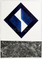 Ábrahám Rafael (1929-2014): Organikus geometria, 2000. Rézkarc, aquatinta, papír, jelzett, 5/25 számozással, 40×29,5 cm