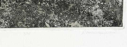 Ábrahám Rafael (1929-2014): Organikus geometria, 2000. Rézkarc, aquatinta, papír, jelzett, 5/25 szám...