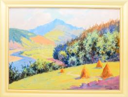 Suba Miklós (1929-): Kárpátaljai táj, 1977. Olaj, vászon. Jelzett. Fakeretben. 60×80 cm