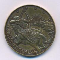 Kósa István (1953-) "Millecentenárium 896-1996 - Árpád fejedelem / Honfoglalás" bronz emlé...