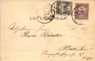 1900 Szászváros, Broos, Orastie; látkép, templomok. H. Graef kiadása / general view with churches (E...