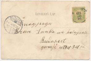 1904 Zsibó, Jibou; Református templom, Báró Wesselényi Béla kastélya, Merza Testvérek üzlete és sajá...