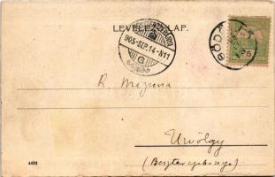 1905 Bánffyhunyad, Huedin; Bánffy-Hunyadi leányok, népviselet, erdélyi folklór / Transylvanian folkl...