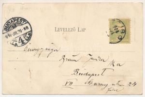 1904 Zsibó, Jibou; Kir. Járásbíróság, Ifj. Nagy Sándor villája, Merza Testvérek üzlete és saját kiad...