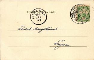 1902 Kolozsvár, Cluj; M. kir. állami tanítónőképző kerti része / teachers' training institute, ...