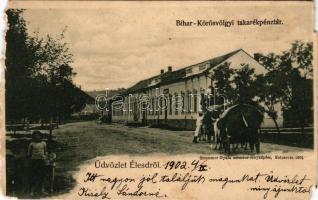 1902 Élesd, Alesd; Bihar-Körösvölgyi takarékpénztár. Strommer Gyula amateur fényképész / savings bank (b)