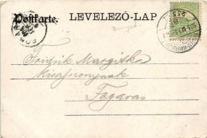 1905 Déva, utcakép, Hirsch Testvérek, Farkas üzlete, vár. Kiadja Kroll Gyula / street view, shop, ca...