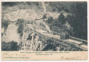 1906 Bihardobrosd, Dobrest-Govoresd, Dobresti; Bihari Erdőipar és Mészégető Részvénytársaság, iparvasút a toplicai hídon, gőzmozdony. Deutsch fényképész felvétele / Industrial railway of the Bihor Wood Industry and Limestone Company, locomotive (Rb)