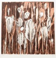 Olvashatatlan jelzéssel: Unknown flowers. Rézkarc, papír. Számozott (8/15). 29,5×29,5 cm.