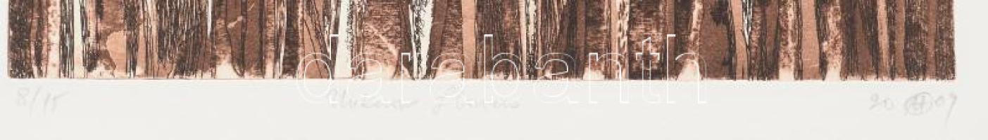 Olvashatatlan jelzéssel: Unknown flowers. Rézkarc, papír. Számozott (8/15). 29,5×29,5 cm