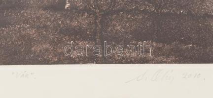 Olvashatatlan jelzéssel: Vár. Színes rézkarc, papír. Művészpéldány AP jelzéssel. Számozott (1/10). 1...