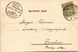 1902 Temesvár, Timisoara; Hunyady út / street view (gyűrődés / crease)