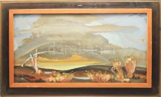 Cs. Pataj Mihály (1921-2008): Alföldi táj. Olaj, farost, jelzett a hátoldalán. Fakeretben, 37x69 cm