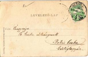 1911 Temesvár, Timisoara; Lonovics utca, Hungária szálloda. Moravetz Testvérek kiadása / street view...