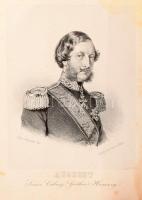 Hunfalvy János: Gömör és Kishont törvényesen egyesült vármegyének leírása. A Magyar Orvosok és Termé...