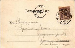 1901 Temesvár, Timisoara; Kossuth utca / street view (kis szakadás / small tear)