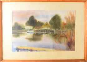 Ledniczky Gyula (1921-1993): "Közeleg a vihar" (Soroksári Duna?). Akvarell, papír, jelezve...