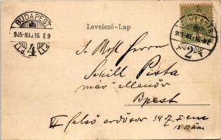 1905 Temesvár, Timisoara; Andrássy út / street view (EK)