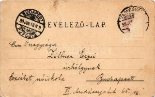 1899 (Vorläufer) Temesvár, Timisoara; Jenő herceg tér, Losonczy tér, piac, Hungária szálloda, Belvár...