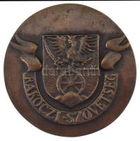 DN "II. Rákóczi Ferenc 1676-1735 / Rákóczi Szövetség" kétoldalas, öntött bronz emlékérem (...