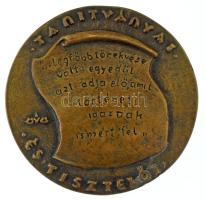 Csúcs Ferenc (1905-1999) DN "Szabó István 1898-1969 / Tanítványai és tisztelői" bronz emlé...