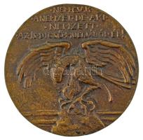 Horváth Ernő Iván (1952-) DN "Nem csak a nemzet, de aki nemzett, az is dicső múltjából él!" egyoldalas, szatirikus, öntött bronz emlékérem (79mm) T:XF