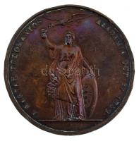 Fabris, Anton (1792-1865) 1859. "Kazinczy Ferenc emlékérem" bronz emlékérem. "KAZINCZ...