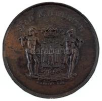 Belgium 1886. "Zang-Harmonie-Fanfare-Symphonie - International Festival Juli-Augustus 1886 / Stad Antwerpen (Ének-Harmónia-Fanfár-Szimfónia - Nemzetközi Fesztivál 1886. július-augusztus / Antwerpen városa)" bronz emlékérem (66mm) T:XF több ph., patina Belgium 1886. "Zang-Harmonie-Fanfare-Symphonie - International Festival Juli-Augustus 1886 / Stad Antwerpen (Singing-Harmony-Fanfare-Symphony - International Festival July-August 1886 / City of Antwerp)" bronze medallion (66mm) C:XF multiple edge errors, patina