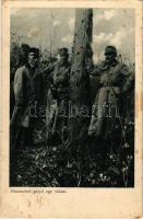 Huszonhét golyó egy fában. Az Érdekes Újság kiadása / WWI Hungarian military, 27 bullets in one tree (fl)