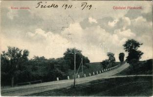 1911 Pécska, Petschka, Pecica; Római sáncok. Iritz Manó kiadása / Roman road (EK)