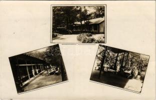 1932 Budapest X. Kőbánya, Id. Báró Korányi Frigyes üdülőtelep. Korányi Frigyes erdősor (fl)