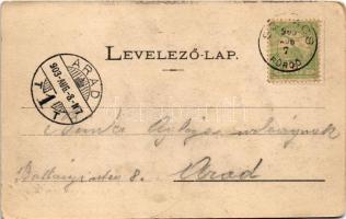 1903 Szliács-fürdő, Kúpele Sliac; részlet a fürdőtelepről. Kerekes Miklós kiadása (kopott sarkak / w...