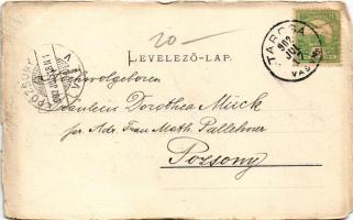 1902 Tarcsa, Tarcsafürdő, Bad Tatzmannsdorf; Mária villa, Kápolna. Frankl és Ledofszky utóda kiadása...