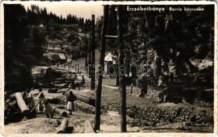 Erzsébetbánya, Baiut (Magyarlápos, Targu Lupus); Borvíz környéke, favágók. Hargitay János kiadása / general view, lumberjacks (gyűrődés / crease)