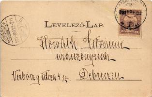 1901 Bréb, Breb (Máramaros, Maramures); részlet a brébi fürdőből. Mayer és Berger kiadása / spa, bat...