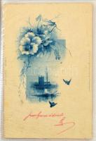 100 férőhelyes modern albumban 100 db RÉGI motívumlap, köztük lithók. Art Nouveau üdvözlőlapok, hölg...