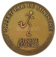 Franciaország Demarchi Jean-Pierre (1928-1979) "A miniszter ajándéka - Ifjúság és Sport" kétoldalas bronz emlékérem, "ESPOIRS" dísztokban. Szign.: "Demarchi" (58,5mm) T:AU France Demarchi Jean-Pierre (1928-1979) "Offert Par le Ministre - Jeunesse et Sports" two-sided bronze commemorative medallion, in "ESPOIRS" case. Sign.: "Demarchi" (58,5mm) C:AU