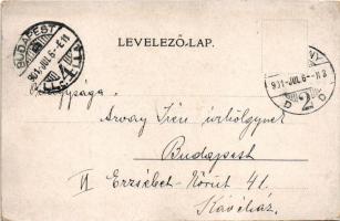 1901 Pozsony, Pressburg, Bratislava; Sétatér. A. Bernas kiadása / promenade (r)