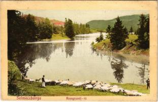 1911 Selmecbánya, Schemnitz, Banská Stiavnica; Rossgrundi-tó, juhász birkanyájjal. Grohmann kiadása / Rosgrundské jazero / lake, shepherd with a flock of sheep (tűnyomok / pin marks)